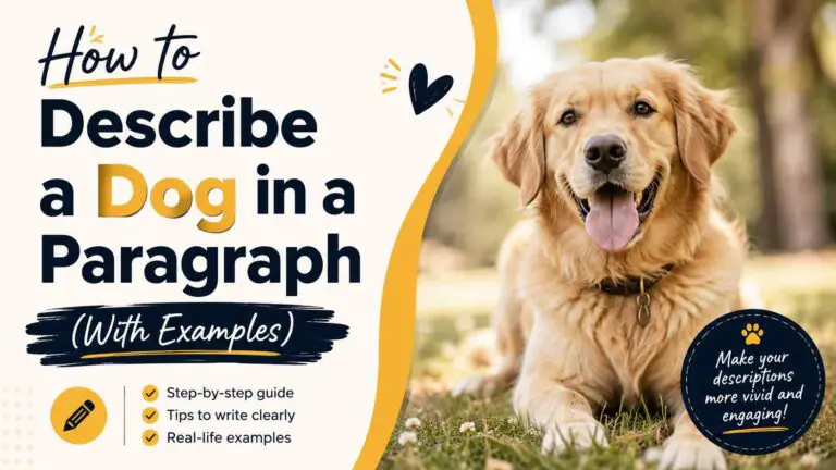 How to Describe a Dog in a Paragraph (With Examples)